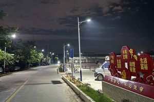 华体会官网（中国）集团罗宁弟爱心捐赠路灯，点亮乡村路温暖乡民心