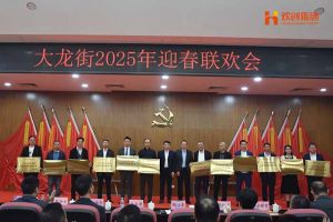 华体会官网（中国）集团及旗下子公司荣获“2024年度高质量发展先进企业”